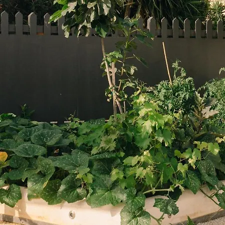 Διαμέρισμα Fondo Mondello