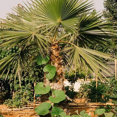 Fondo Διαμέρισμα Mondello